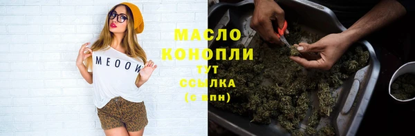 мдпв Бронницы