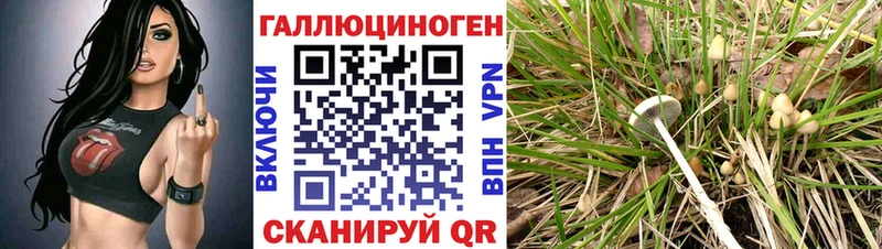 наркотики Мончегорск Галлюциногенные грибы Cubensis