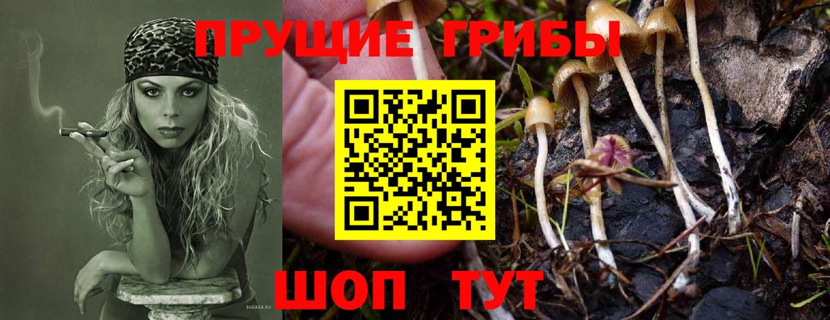 Псилоцибиновые грибы GOLDEN TEACHER Мончегорск